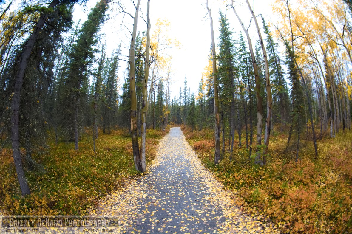 2018-09-19 Alaska 218