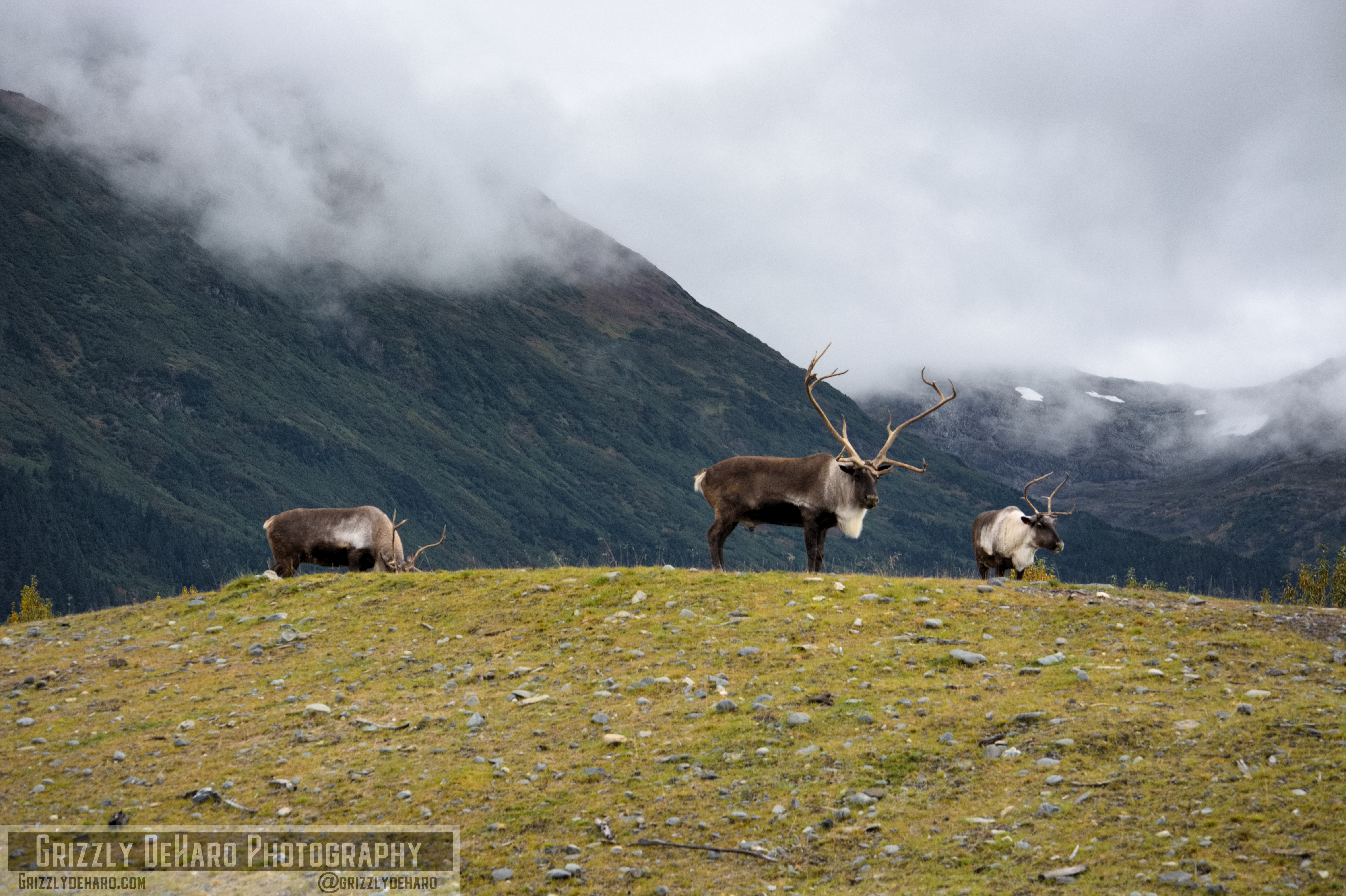 2018-09-19 Alaska 923