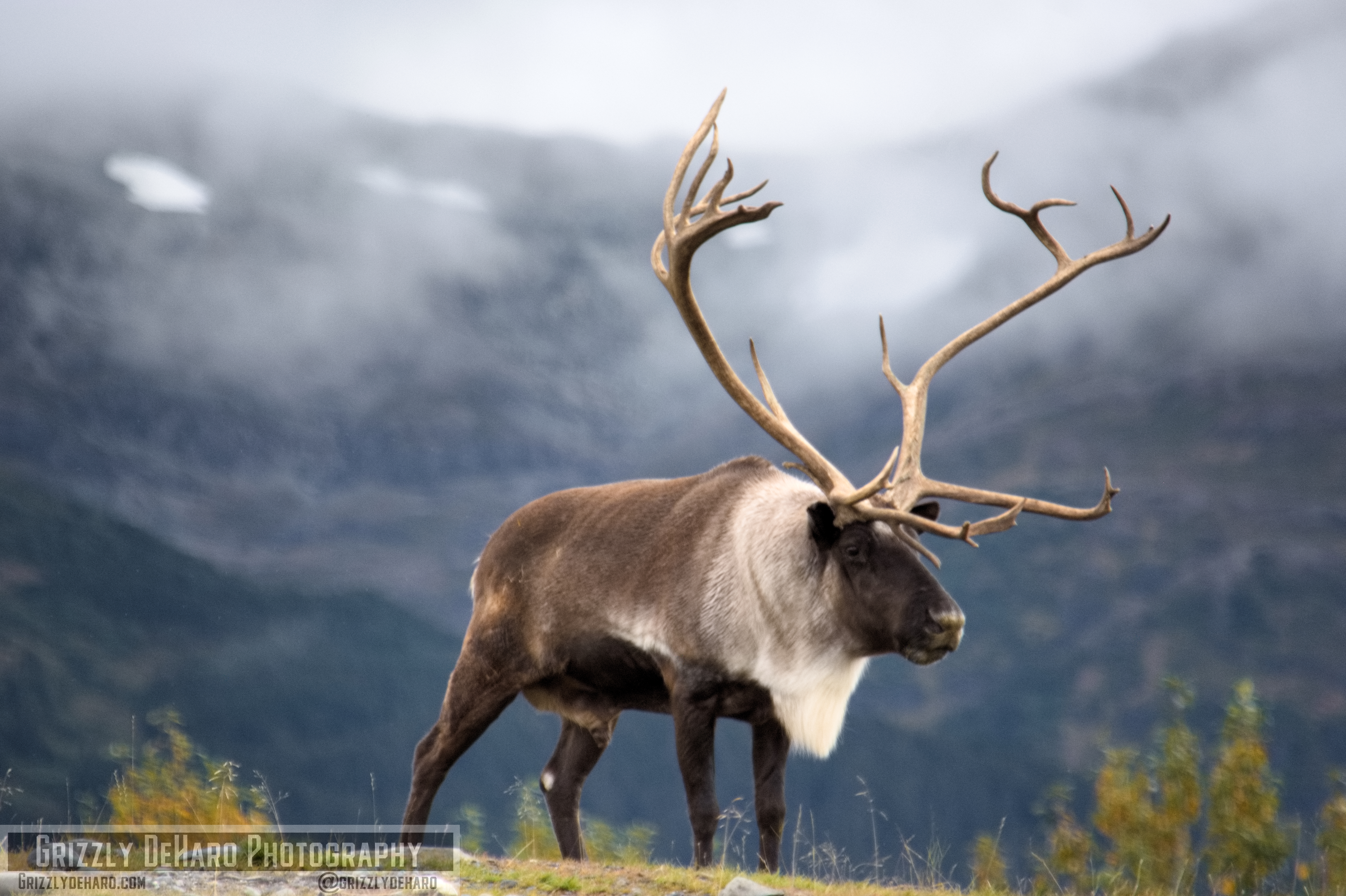 2018-09-19 Alaska 933
