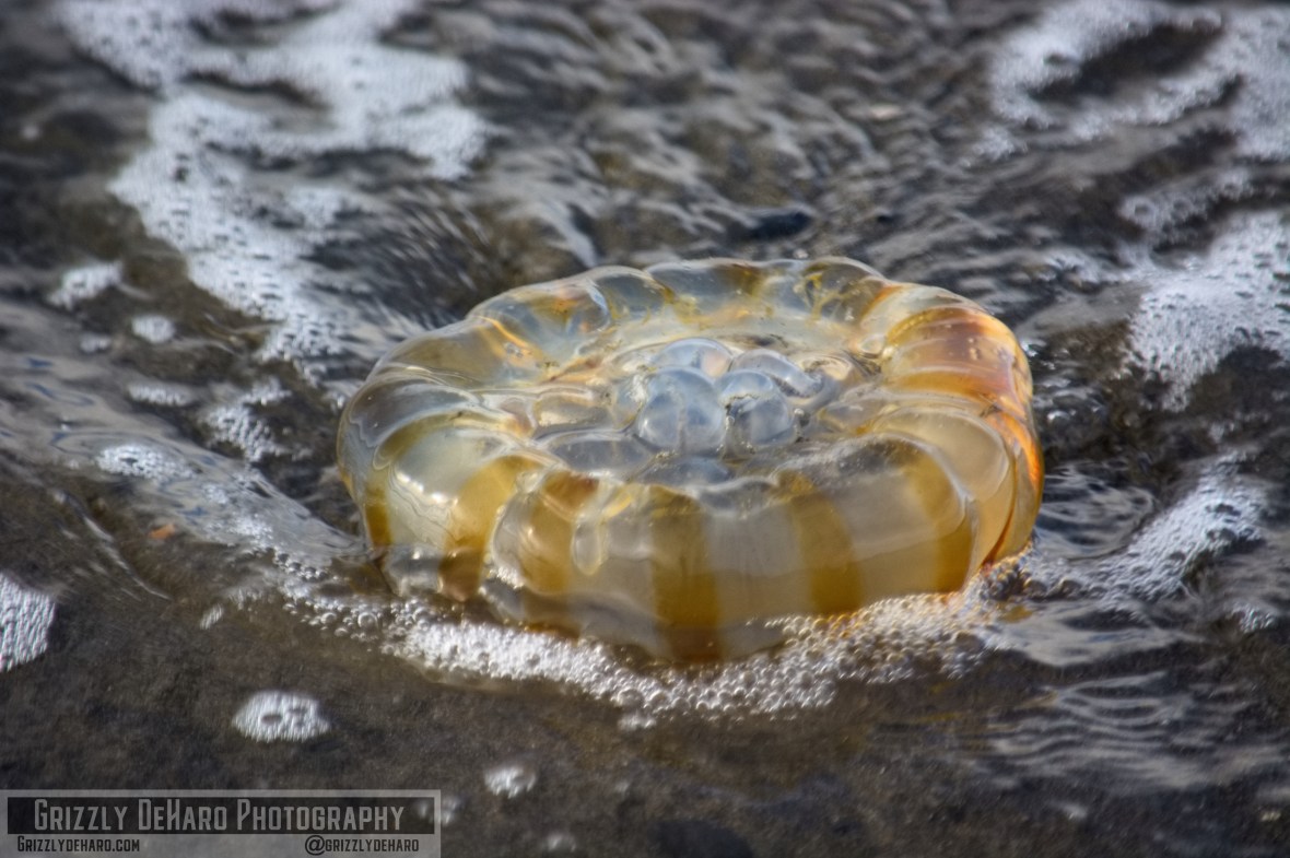 2018-09-23 Alaska 201