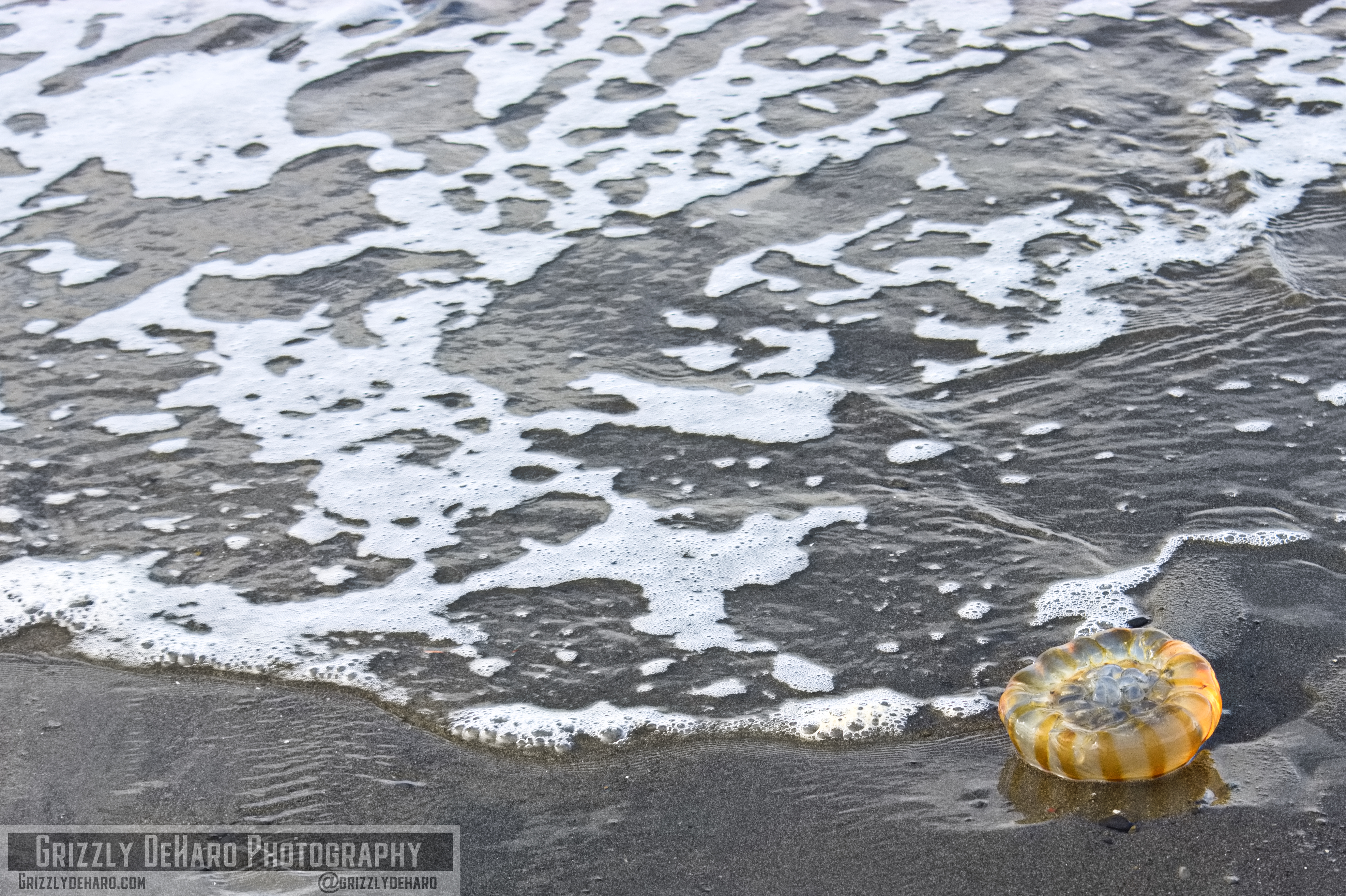 2018-09-23 Alaska 206