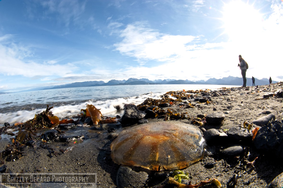 2018-09-23 Alaska 244