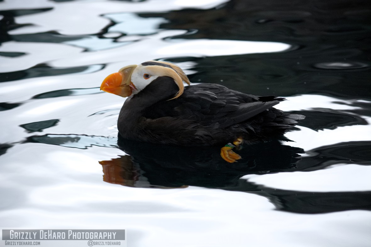 2018-09-23 Alaska 724
