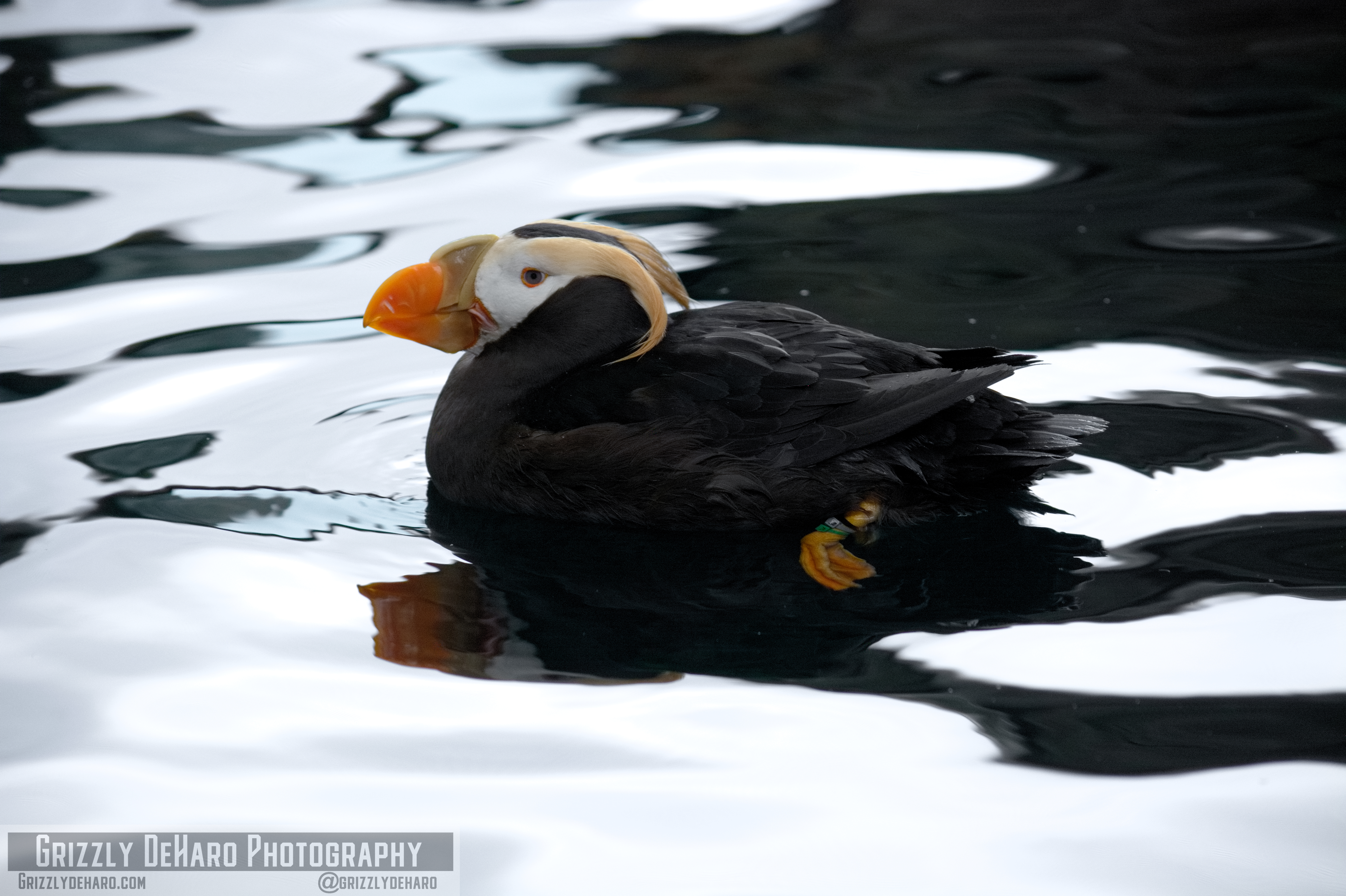 2018-09-23 Alaska 724